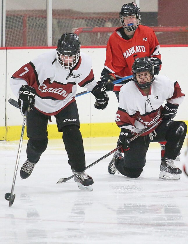 Fairmont Area girls hockey wins 10; Cardinal boys net 4th straight